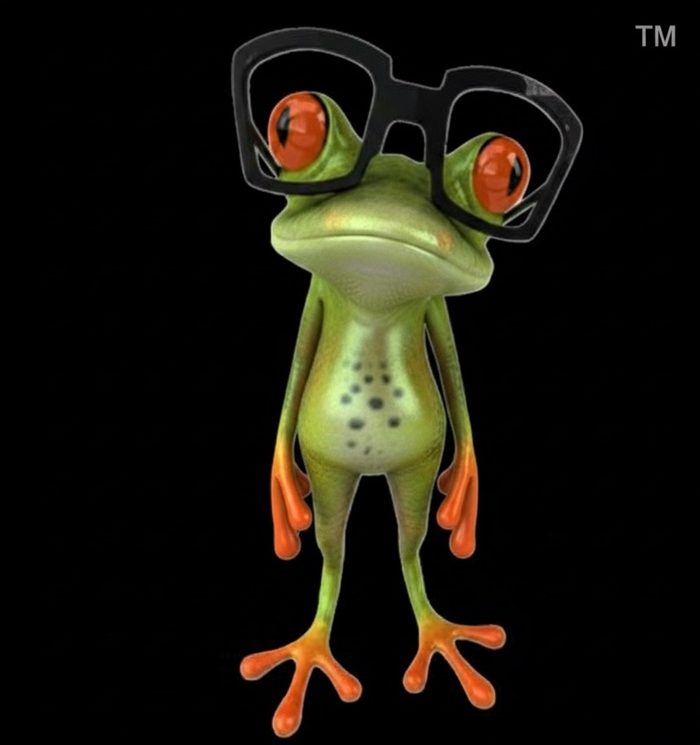 Our frog mascot in glasses